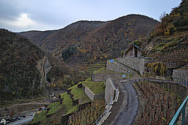 Ahrtal (7v9) - Bernhard Saalfeld - Lichtbildkunst